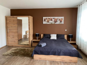 Černý Tulipán - Apartmán 3, Plzen